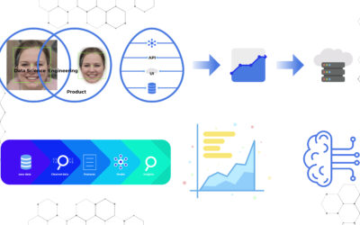 Building Real-Time Computer Vision Systems a reference from FaceVision